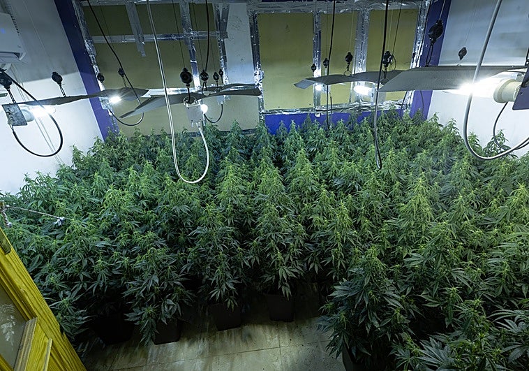 Diez detenidos en una operación contra el tráfico de drogas en Las Gabias y Cúllar Vega